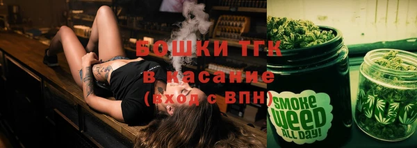 СК Алексин