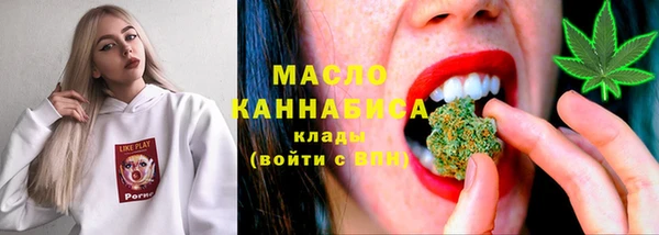 СК Алексин