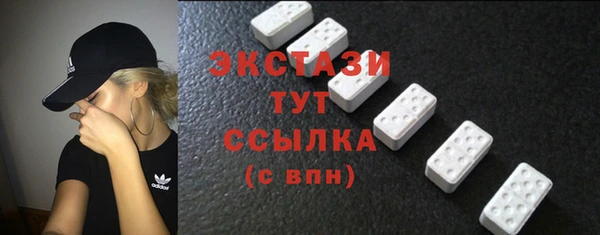 СК Алексин