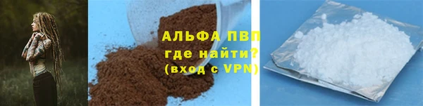 СК Алексин